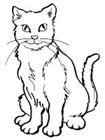 disegni/gatti/gatti_cats_ 37.jpg